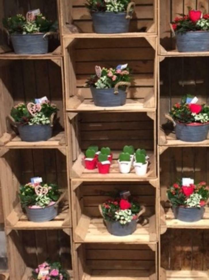 Originele Vintage Fruitkistjes GRATIS verzending €15, Huis en Inrichting, Woonaccessoires | Kisten, Gebruikt, Minder dan 50 cm