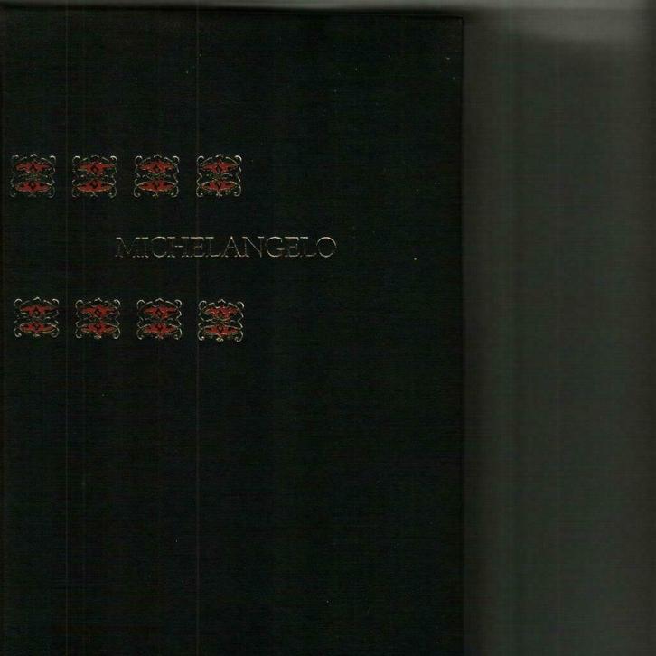 Genie en wereld michelangelo/sept19, Boeken, Biografieën, Zo goed als nieuw, Ophalen of Verzenden