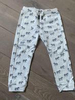 Nieuwe broek JBC maat 86 met zebra’s, Kinderen en Baby's, Ophalen of Verzenden, Nieuw, Jongetje of Meisje, Broekje