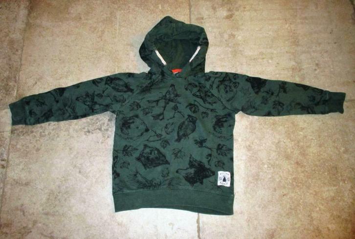 Groene sweater met kap - maat 134/140, Kinderen en Baby's, Kinderkleding | Maat 152, Gebruikt, Trui of Vest, Ophalen of Verzenden