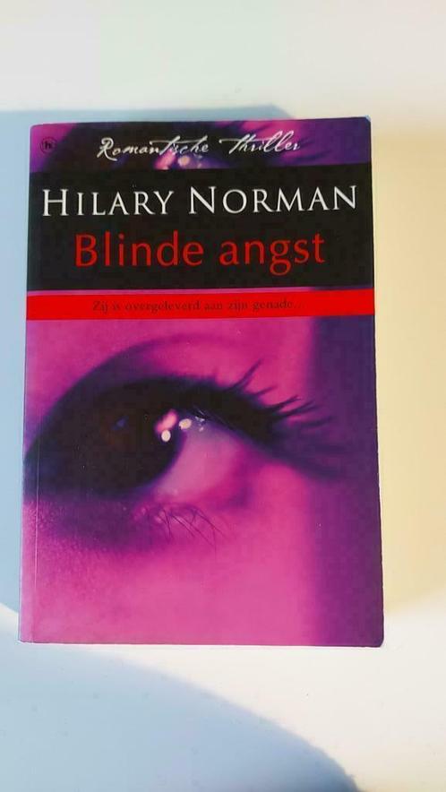 Hilary Norman: Blinde angst, Livres, Thrillers, Comme neuf, Enlèvement ou Envoi