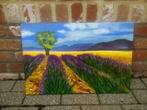 Lavendelveld met boom, Ophalen of Verzenden