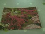 Postkaart Gent Floraliën, Flandre Orientale, Envoi