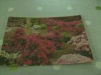 Postkaart Gent Floraliën, Verzamelen, Verzenden, Oost-Vlaanderen