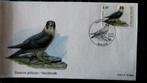FIRST DAY COVER- VOGELS VAN BUZIN- DE SLECHTVALK, Ophalen of Verzenden, Gestempeld, Dier of Natuur
