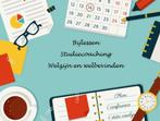 Studiecoaching - bijlessen - studiebegeleiding