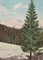 Ensemble de cartes postales vintage de Bulgarie 1960, Collections, Non affranchie, Europe autre, Enlèvement ou Envoi, 1960 à 1980