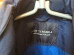 Herenparka, Ophalen, Blauw, Zo goed als nieuw, Scotch & Soda