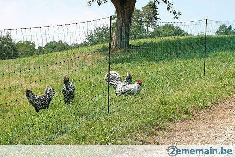 Clôture filet 50 mêtres enclos poule parc poule NEUF, Zakelijke goederen, Landbouw | Werktuigen, Veehouderij, Werkplaats, Gebouw of Erf