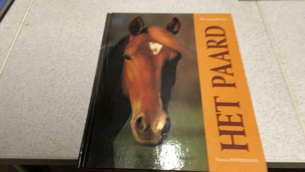 P. Kindermans - Het paard, Ophalen of Verzenden, Zo goed als nieuw, P. Kindermans