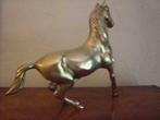 paard beeld  KOPER 800gr , 20cmhoogte, Paard, Ophalen of Verzenden