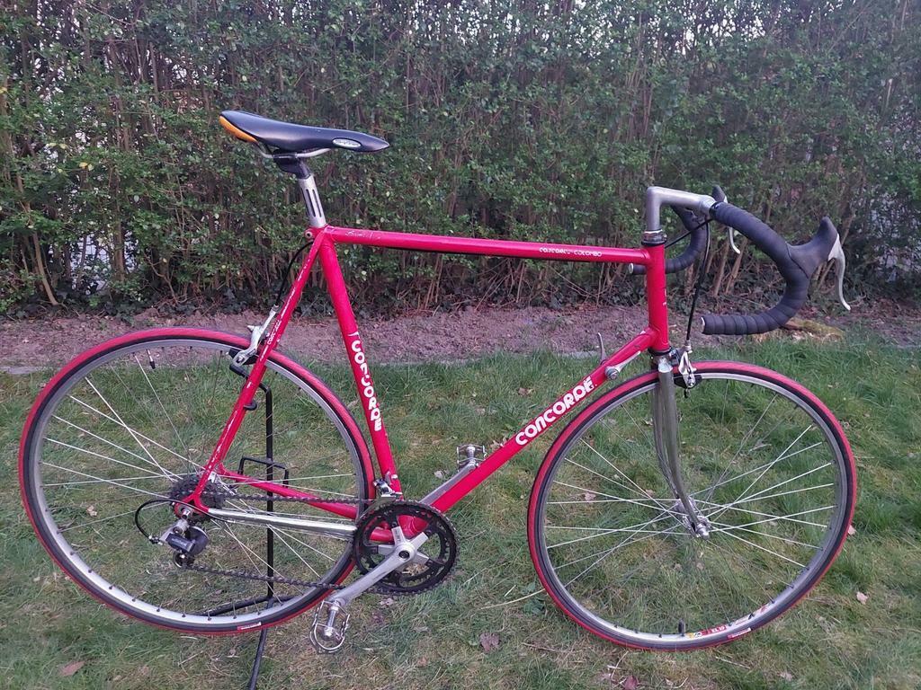 ② Heel grote koersfiets Concorde Colombo, Maat 63 — Fietsen | Racefietsen —  2dehands