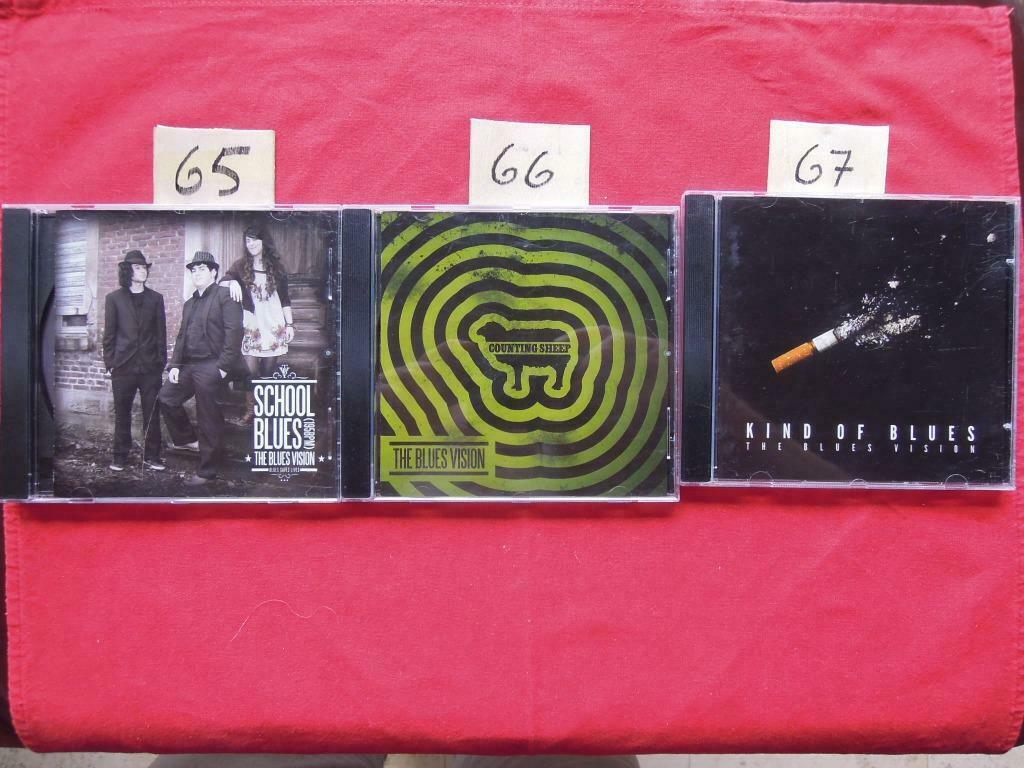 CD The blues vision school blues counting sheep kind of blue, Cd's en Dvd's, Cd's | Jazz en Blues, Gebruikt, Blues, 1980 tot heden