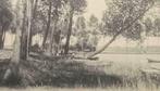 Carte Postale Overmeire Donk L'arbre suspendu, Affranchie, Flandre Orientale, Enlèvement ou Envoi, Avant 1920