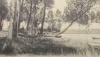 Postkaart Overmeire Donk De Hangende Boom (Overmeren), Ophalen of Verzenden, Voor 1920, Gelopen, Oost-Vlaanderen