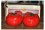 salière et poivrière tomate neuve, Enlèvement ou Envoi, Neuf