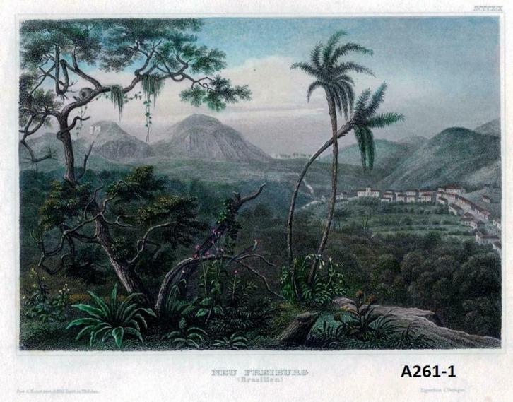 Staalgravures 19e Eeuw Noord-, Midden- en Zuid-Amerika A261-, Antiek en Kunst, Kunst | Etsen en Gravures, Ophalen of Verzenden