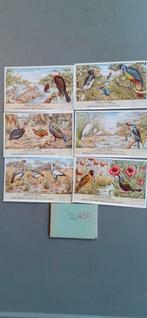 §Série chromo liebig 450, Verzamelen, Overige Verzamelen, Ophalen of Verzenden, Zo goed als nieuw