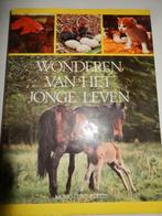 "WONDEREN van het JONGE LEVEN" Han Rensenbrink (1975), Boeken, Natuur, Natuur algemeen, Han Rensenbrink, Ophalen of Verzenden