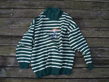 Pull Chipie 12 ans, Enlèvement ou Envoi, Comme neuf, Garçon ou Fille, Pull ou Veste