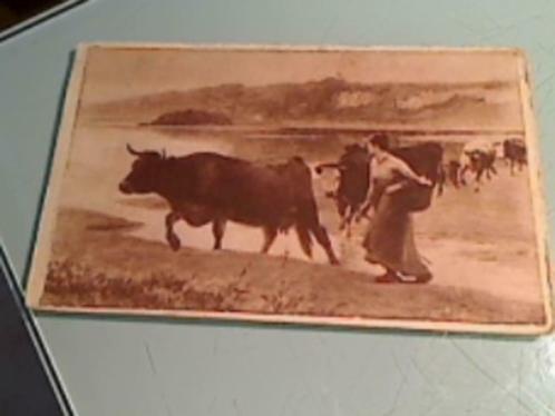Anciennes cartes postales "BRUNITA", Collections, Cartes postales | Belgique, Non affranchie, Enlèvement ou Envoi
