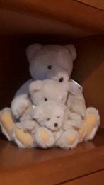 Knuffel beren, Enlèvement