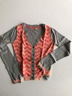 Vestje CKS - 8 jaar, Ophalen of Verzenden, Gebruikt, Meisje, Trui of Vest