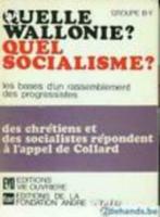 Groupe B-Y, Quelle Wallonie? Quelle socialisme?, Livres, Politique & Société, Comme neuf, Politique, Enlèvement ou Envoi