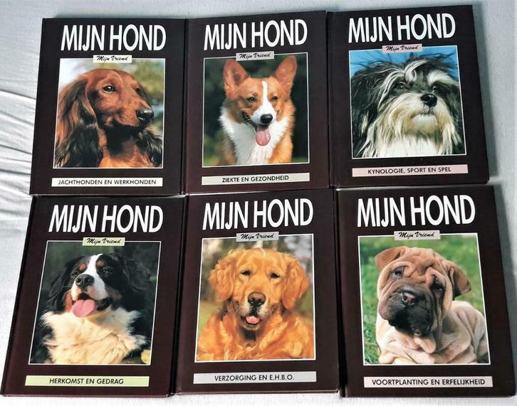 Boekenreeks: Mijn hond, mijn vriend, Boeken, Dieren en Huisdieren, Zo goed als nieuw, Honden, Ophalen of Verzenden