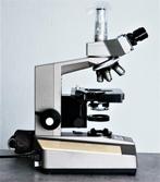 Microscope Olympus BHB