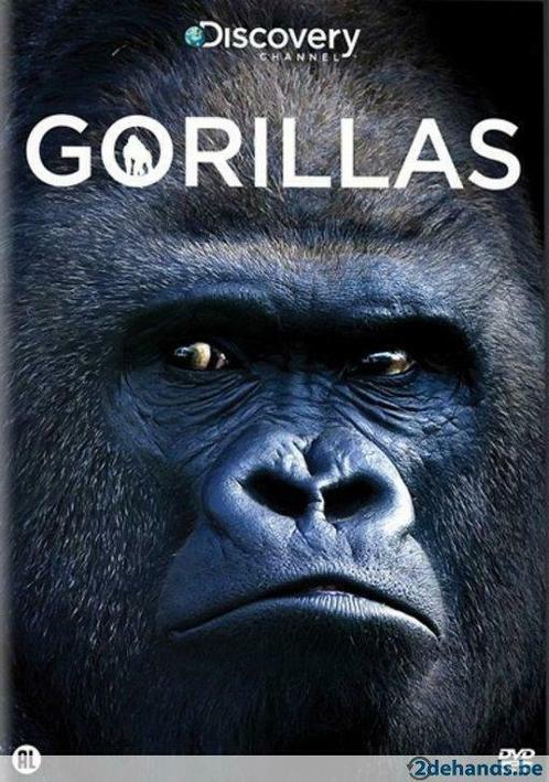 DVD Discovery Channel - Gorillas, Cd's en Dvd's, Dvd's | Documentaire en Educatief, Ophalen of Verzenden