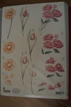 Kaartje maken ( knipvel ) voor vrouw tulp, pioen en margriet, Hobby en Vrije tijd, Ophalen of Verzenden, Nieuw, Natuur, Knipvel