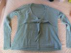 nieuwe trui in maat M, Kleding | Dames, Nieuw, Blauw, Maat 38/40 (M), Ophalen of Verzenden