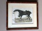 Oude lithografie Horse Racer naam onbekend 30 x 34,5, Verzenden