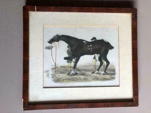 Oude lithografie Horse Racer naam onbekend 30 x 34,5, Antiek en Kunst, Kunst | Litho's en Zeefdrukken, Verzenden
