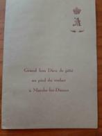 Ter herinnering aan Koning Albert I, Ophalen of Verzenden, Gebruikt, Kaart, Foto of Prent