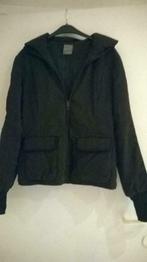 dames vest maat kleur bruin merk marc aurel, Kleding | Dames, Bruin, Ophalen of Verzenden, Marc aurel, Maat 36 (S)