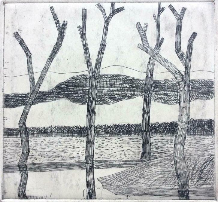 ets Jean-Louis Lebeau 'La douleur des arbres', 1962, Antiek en Kunst, Kunst | Etsen en Gravures, Ophalen of Verzenden