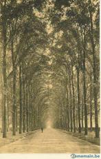 C P Morlanwelz Mariemont - Avenue du Château (c79), Collections