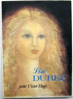 Lise Durez peint Victor Hugo HC, Boeken, Kunst en Cultuur | Beeldend, Ophalen of Verzenden, Gelezen, Schilder- en Tekenkunst