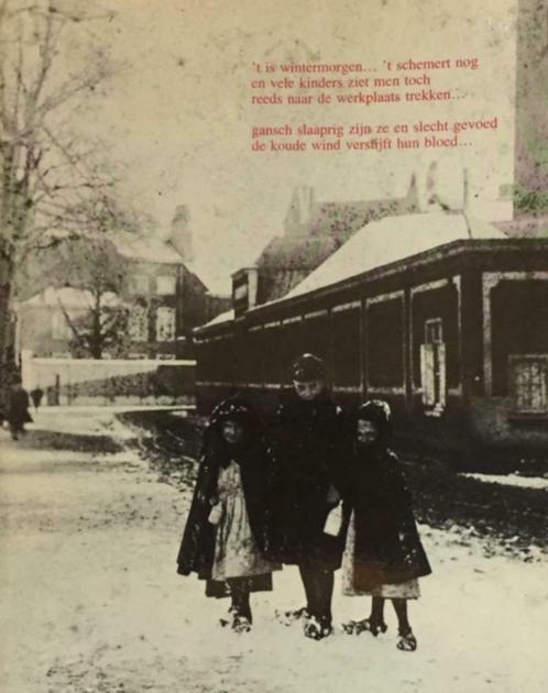 Kinderarbeid van omstreeks 1800 tot 1914, Boeken, Geschiedenis | Nationaal, Nieuw, Ophalen of Verzenden