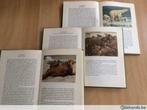 Artisboeken (B), Boeken, Prentenboeken en Plaatjesalbums, Ophalen of Verzenden, Gelezen, Plaatjesalbum