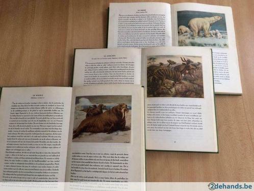 Artisboeken (B), Boeken, Prentenboeken en Plaatjesalbums, Gelezen, Plaatjesalbum, Ophalen of Verzenden