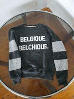 Trui met glitters Belgique Belchique, Kleding | Dames, Truien en Vesten, Ophalen of Verzenden, Zo goed als nieuw
