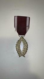 Médaille Palmes Académiques Belgique, Autres matériaux
