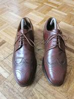 Derbies Bally, Bally, Enlèvement ou Envoi, Chaussures à lacets, Brun