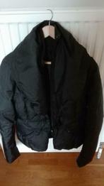 zwarte dons jas mer du nord dames maat 36, Kleding | Dames, Mer du Nord, Ophalen, Zo goed als nieuw, Maat 36 (S)