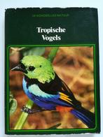 Tropische Vogels, Boeken, Gelezen, Ophalen of Verzenden, Vogels