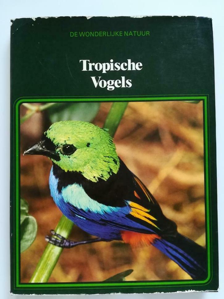 Tropische Vogels, Boeken, Dieren en Huisdieren, Gelezen, Vogels, Ophalen of Verzenden