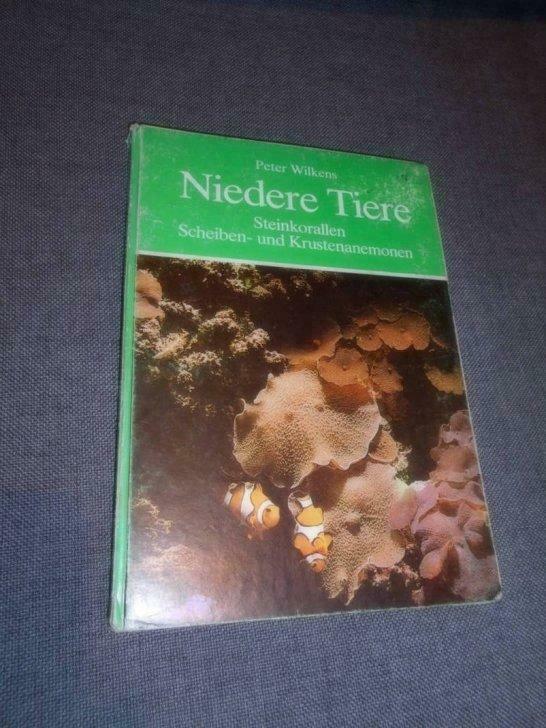 Niedere Tiere, Boeken, Dieren en Huisdieren, Gelezen, Ophalen of Verzenden